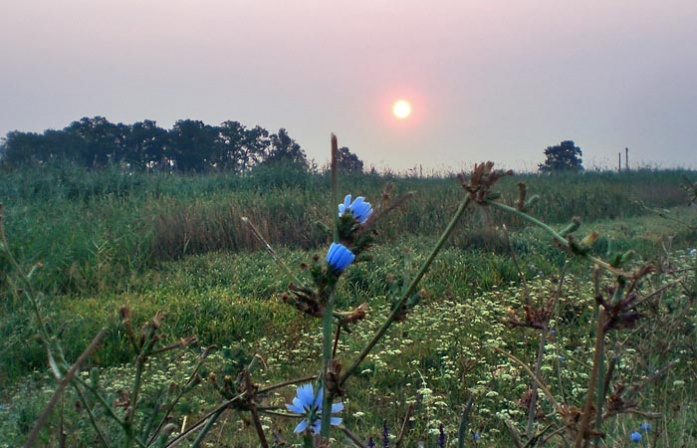 Sonnenaufgang an der Schliess - Foto Werner Gilde