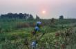 Sonnenaufgang an der Schliess - Foto Werner Gilde