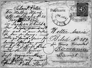 Postkarte mit der Todesnachricht von Nikolaus Welter an seine Mutter